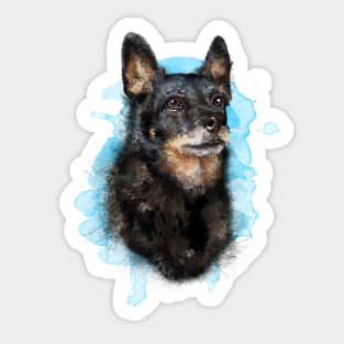 The Lancashire Heeler Sticker